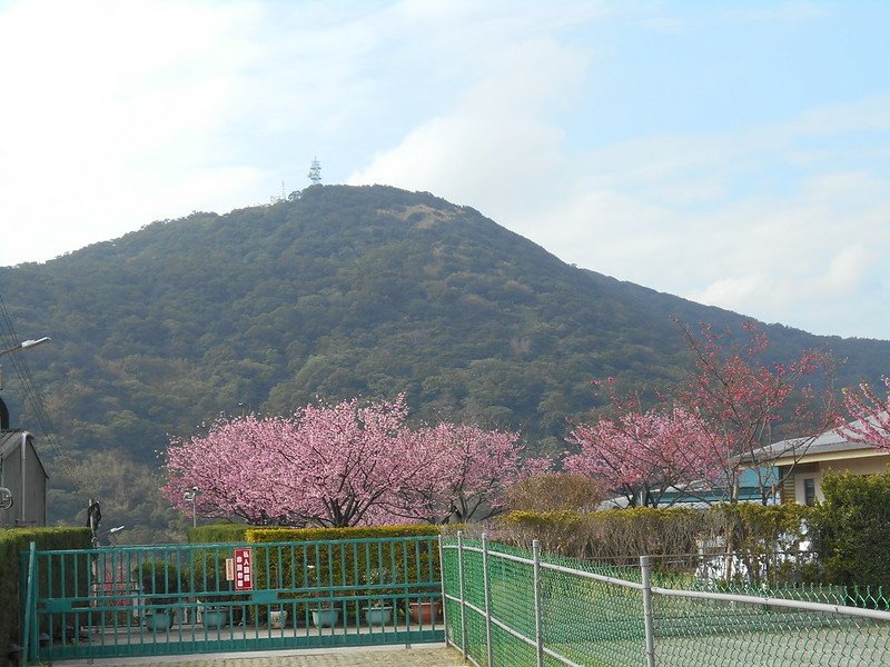 DSCN2003