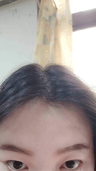 油頭細軟髮的救星！本真THETRUE癒創木養髮香氛洗髮精，打