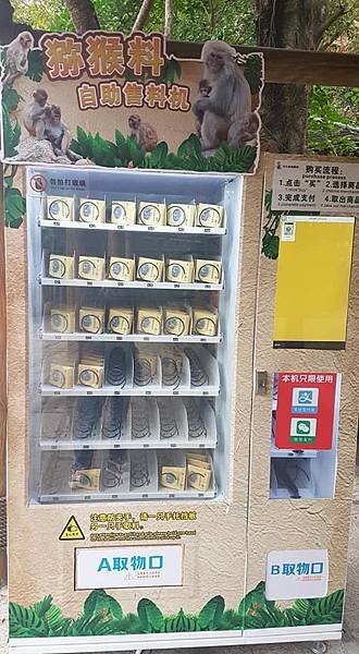 初訪廣州長隆野生動物園~來給動物看囉!