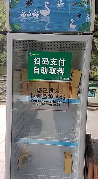 初訪廣州長隆野生動物園~來給動物看囉!