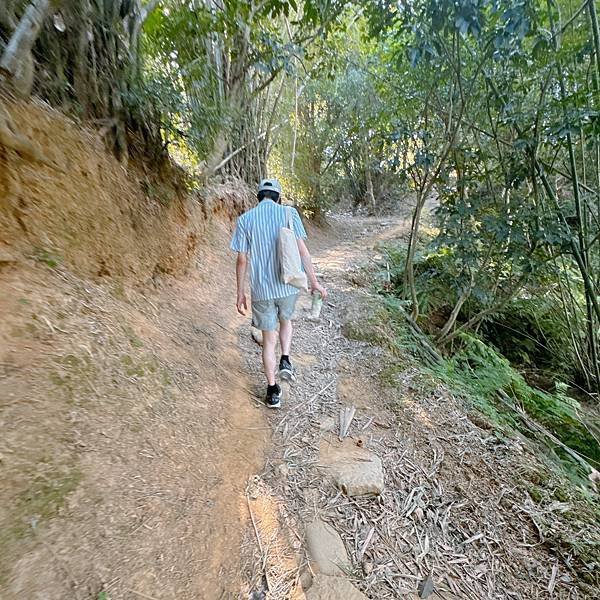 懶得去阿里山的替代方案!!!!!夠誠意了吧！新北三峽鳶山還可