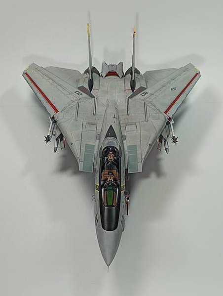 Hasegawa 1/48 F-14A  Tomcat 雄貓