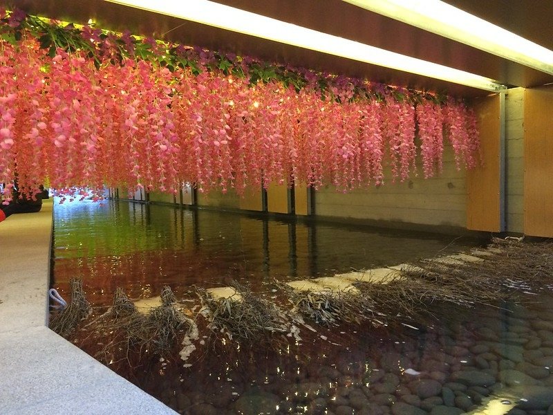 綠川水岸