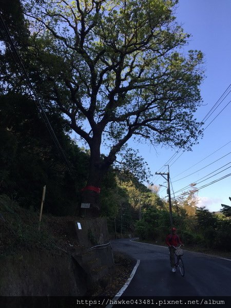 IMG_7306_调整大小