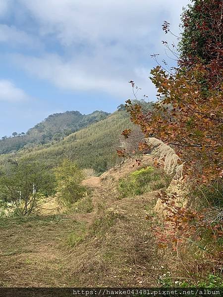 豪華雙子卷(錦屏之美)