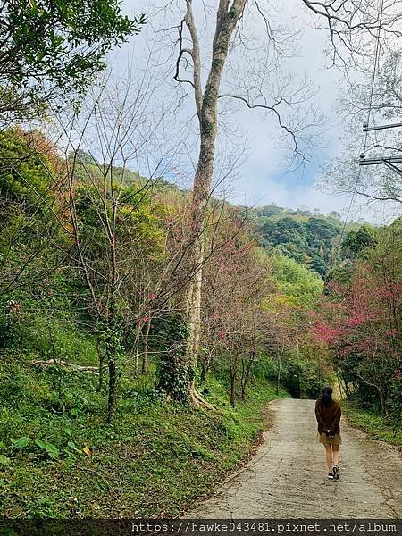 豪華雙子卷(錦屏之美)