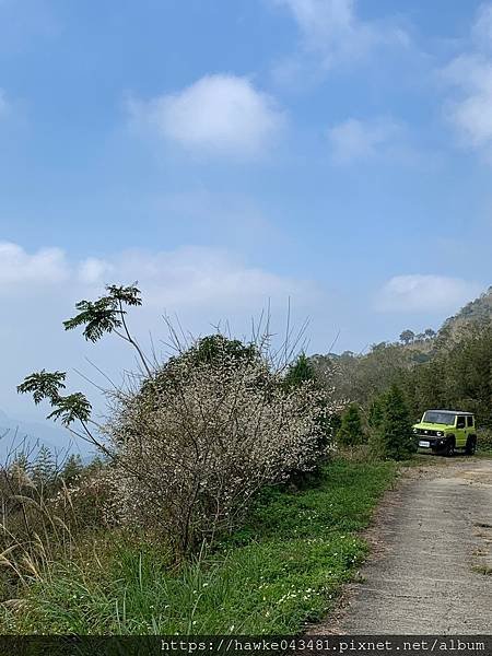 豪華雙子卷(錦屏之美)