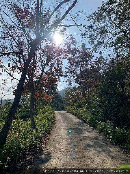 豪華雙子卷(錦屏之美)