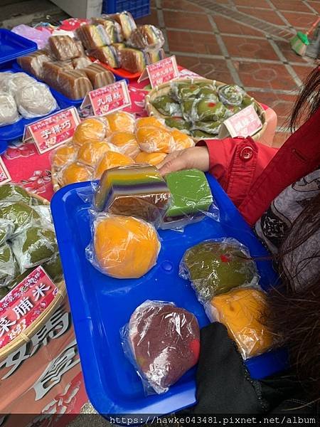 冬季賞花(上)