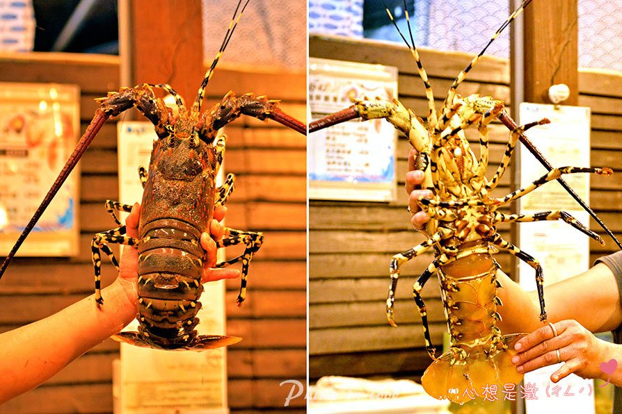 082人魚空間夜晚風情0023 拷貝.jpg