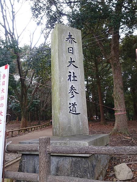 DSC01170