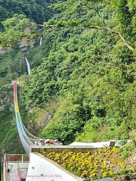 hsiaomienyang 雙龍瀑布七彩吊橋 南投信義景點 南投景點 七彩吊橋 (2)