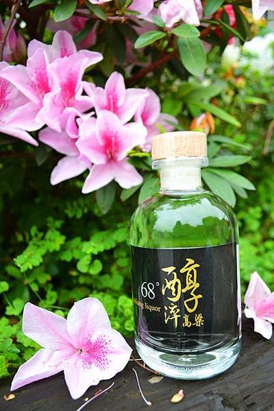 商品照片RAY (10)
