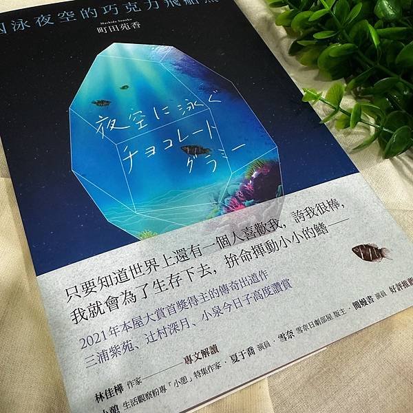 書籍推薦 ‖《泅泳夜空的巧克力飛船魚》———町田苑香