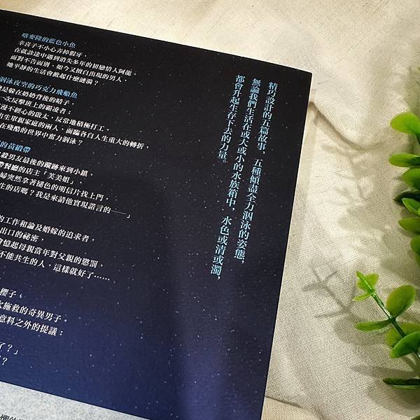 書籍推薦 ‖《泅泳夜空的巧克力飛船魚》———町田苑香