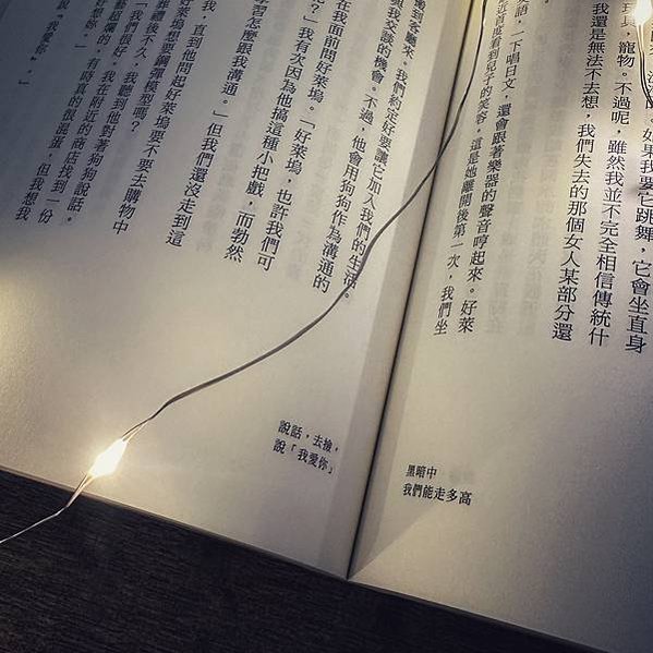 書籍推薦 ‖《黑暗中我們能走多高》———紅杉．永松