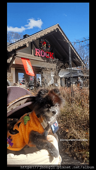 【景點推薦】萌木小鎮ROCK｜日本｜山梨縣｜北杜市｜八岳南麓