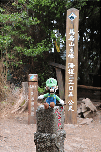 【馬崙山】松樹媽媽登山口-谷關七雄老二-最美林相~號稱有五星