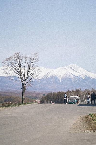 【日本北海道】小樽、登別、白金青池、白鬚瀑布、美瑛名樹8日行