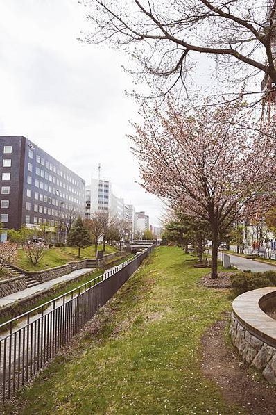 【日本北海道】小樽、登別、白金青池、白鬚瀑布、美瑛名樹8日行