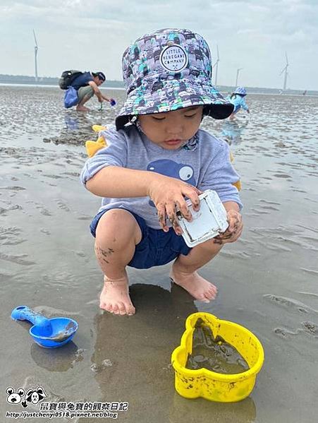 鼠寶與兔寶的觀察日記