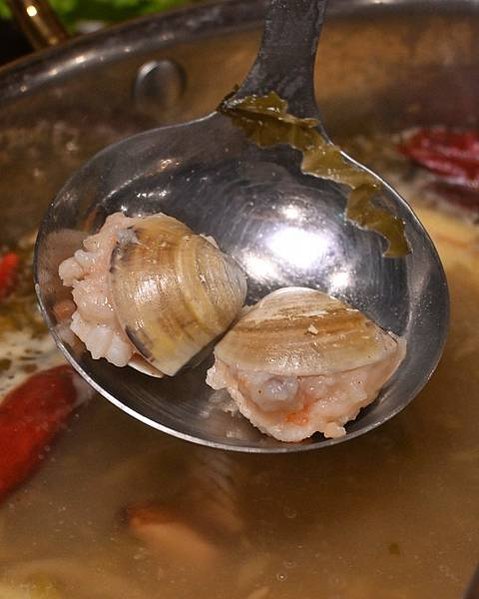LINE_ALBUM_飢餓小唐_240831_36