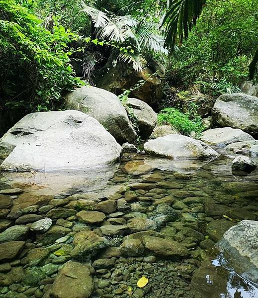 ⛺山川密境 E區 🚩第五露南庄六星營區