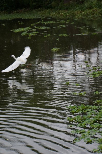 臺北好地方～大安森林公園&amp;永康隨走