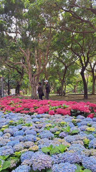 臺北好地方～大安森林公園&amp;永康隨走