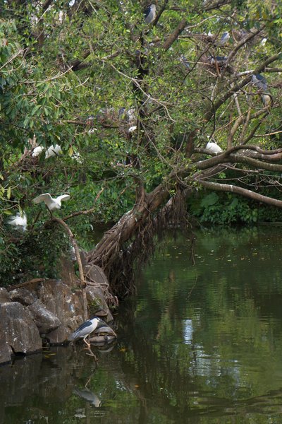 臺北好地方～大安森林公園&amp;永康隨走