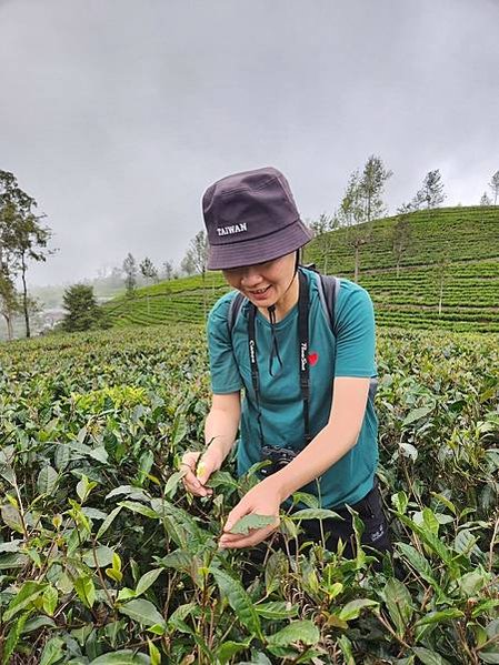 Lipton’s Seat與泰米爾採茶婦女