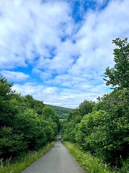 法國之路(Camino Francés)Day 2 小而美的