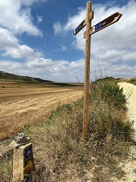 法國之路Day 6 邊喝紅酒邊走路-微醺去Los Arcos