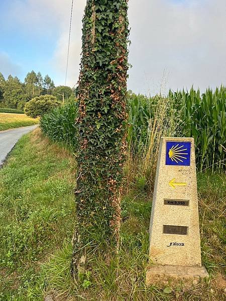 法國之路Day 33-34 爆哭走到終點Camino de 