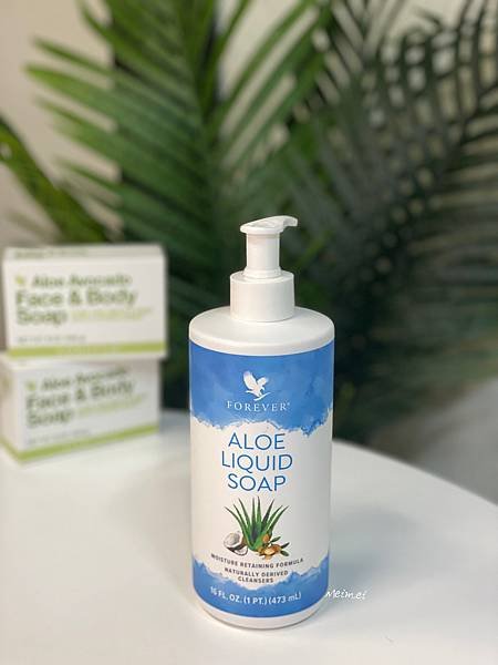 千年蘆薈專家【永久公司FOREVER 永久蘆薈】蘆薈淨膚乳、