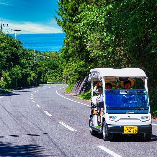 電動車