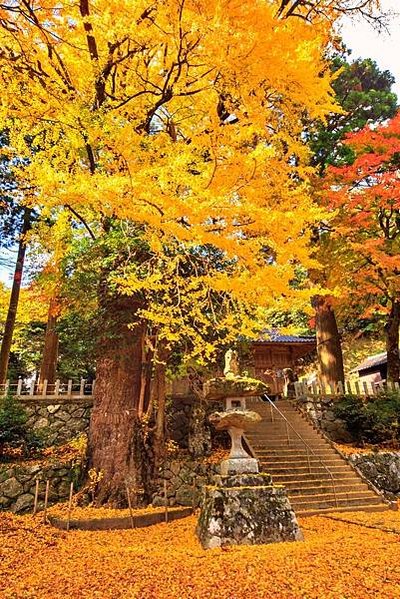 batch_雷神社(5)