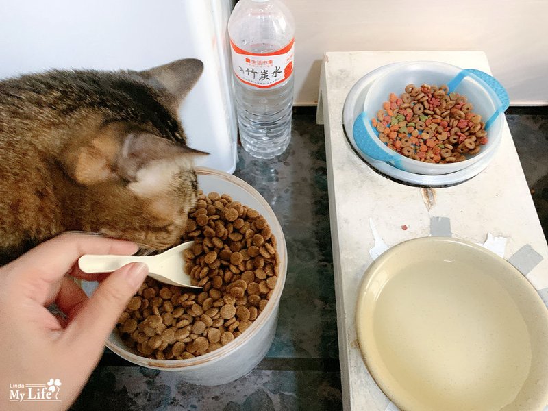 Hills希爾思敏感胃腸與皮膚-9.jpg