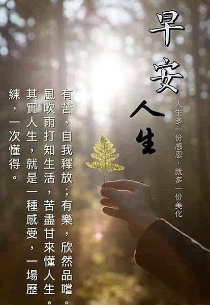 早安 人生多一份感恩，就多一份美化 人生有苦，自我釋放；有樂