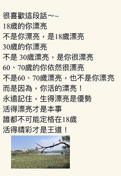 很喜歡這段話~~18歲的你漂亮  不是你漂亮，是18歲漂亮.