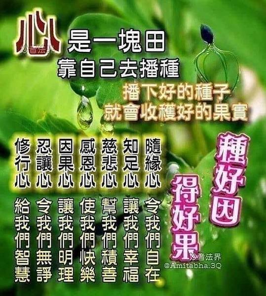 心是一塊田  靠自己去播種...