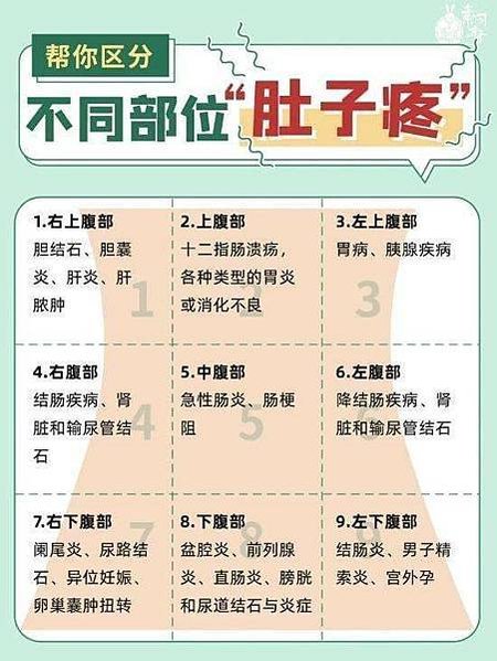 幫你區分不同部位“肚子疼”