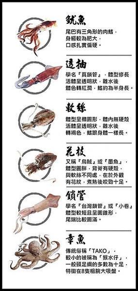 魷魚、透抽、軟絲、花枝、鎖管、章魚  區分...