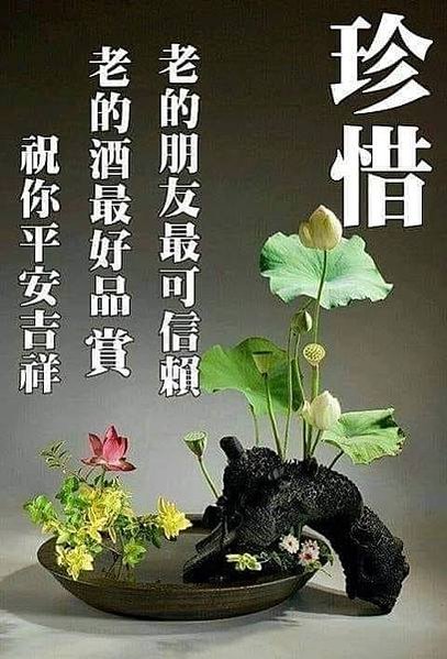 珍惜 老的朋友最可信賴...，早安加油  感恩每一天的...