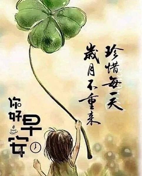 早安  眉開眼笑...，珍惜每一天  歲月不...，願你我 