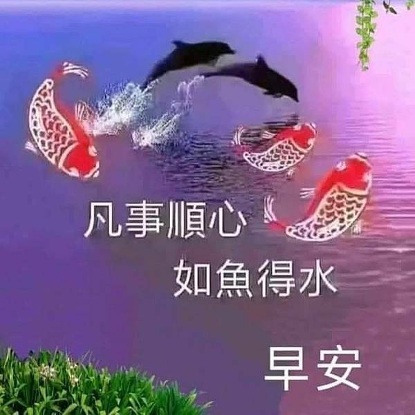 早安愉快，凡事順心  如...，早上好人生兩寶  一是 身體