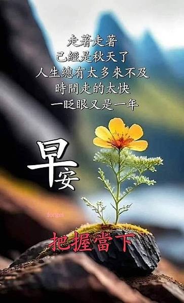 起個早，問個好  證明...，風雨由天  快樂由己  保重.