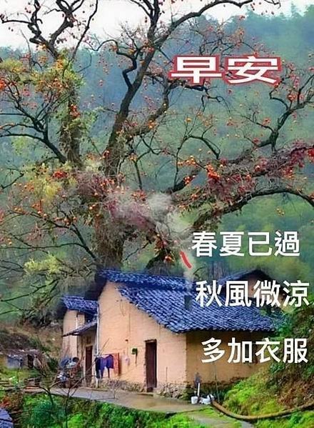 早安  春夏已過...，平安健康  早安  喝杯...，早安