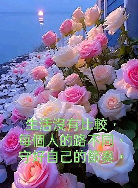 早安吉祥  歡樂相...，早安天涼好個秋...，繁華平淡  