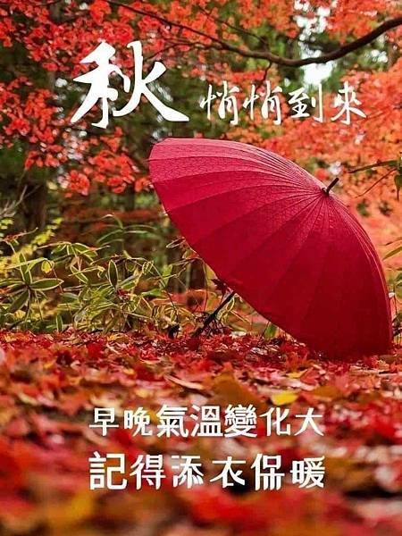 笑口常開  菜包...，早安愉快  快樂是...，早安  美